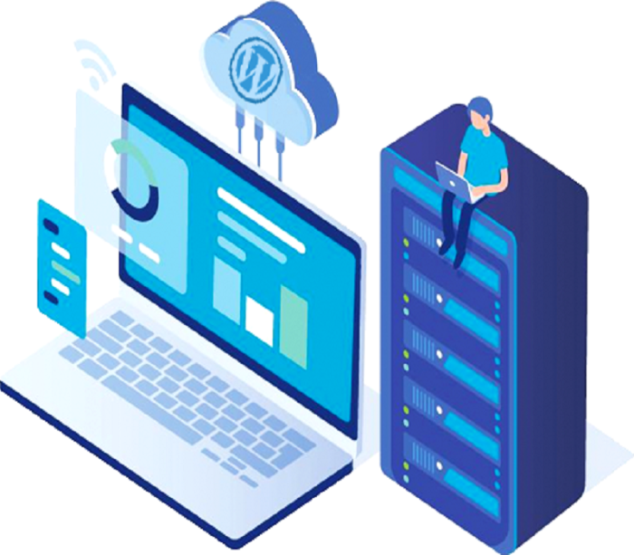 Sub Server Addon & E-Commerce Website Hosting - Image 1